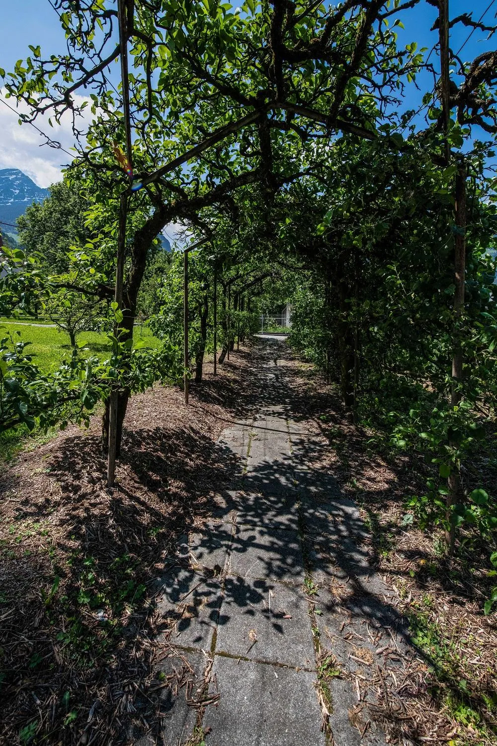 Aussenbereich des Campus St. Josef – Bild 14