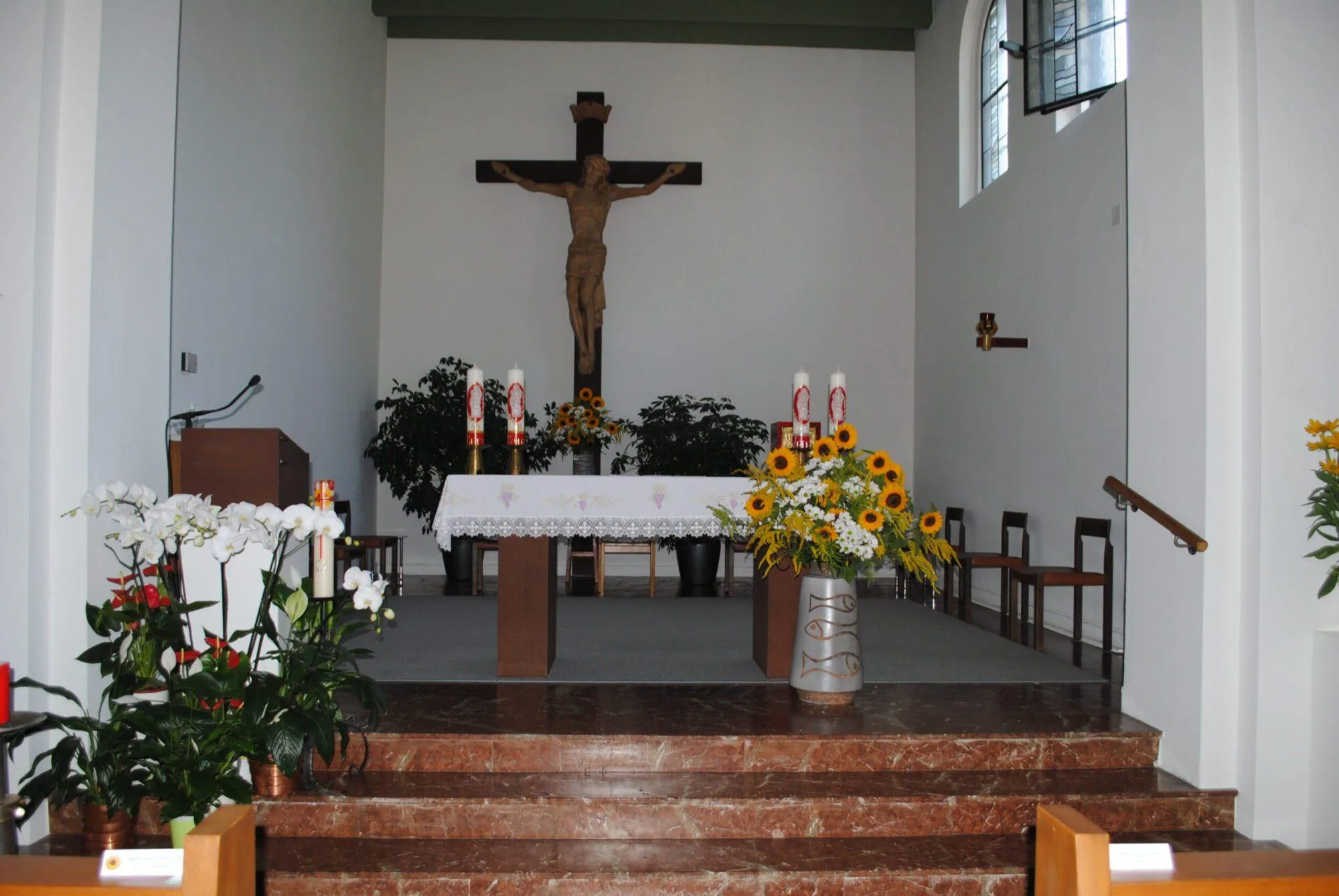 Strassenkinder in Simbabwe
