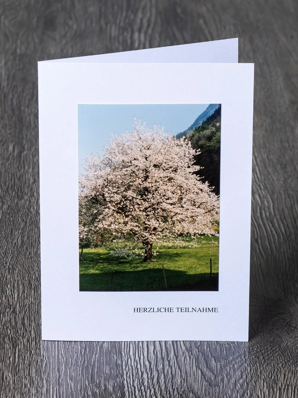 Messbundkarte 1 «Kirschbaum»