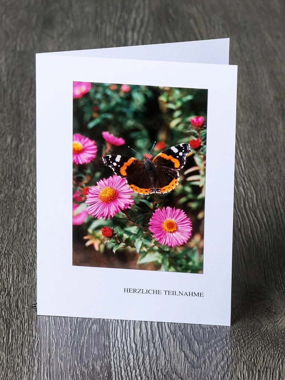Messbundkarte 9 «Schmetterling Admiral»