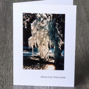 Messbundkarte 3 «Eiszapfen am Baum»