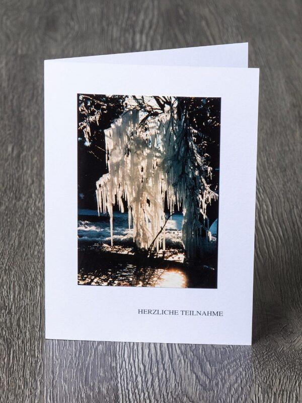 Messbundkarte 3 «Eiszapfen am Baum»