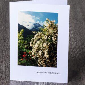 Messbundkarte 4 «Frühling»