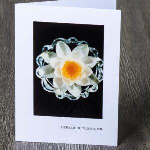 Messbundkarte 7 «Wasserblume»