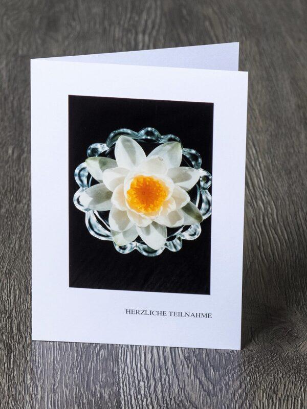 Messbundkarte 7 «Wasserblume»