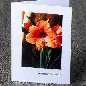 Messbundkarte 8 «Amaryllis»