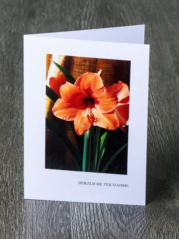 Messbundkarte 8 «Amaryllis»