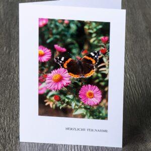 Messbundkarte 9 «Schmetterling Admiral»