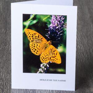 Messbundkarte 11 «Grosser Perlmutterfalter»