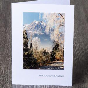 Messbundkarte 13 «Frost»