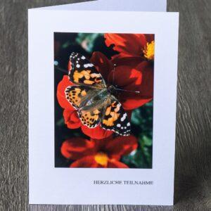 Messbundkarte 14 «Distelfalter»